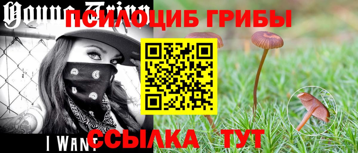 Галлюциногенные грибы мицелий Карабулак