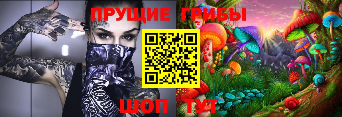купить закладку  Псилоцибиновые грибы ЛСД  Вход с VPN  Карабулак 